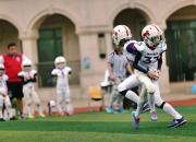 Kaiyun-粤西山猫队火力全开东海雄鲨队，橄榄球常规赛上演耐力碾压对手！禁区内连续解围(2017全运会橄榄球比赛福建队)